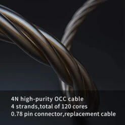 Fiio FD1 Beryllium-Plated Single Dynamic IEM 10 Fiio FD1 Beryllium-Plated Single Dynamic IEM -Audio Headphone Store 61IgFGX6bkL. AC SL1200 1