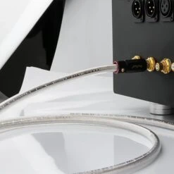 Audio Headphone Store -Audio Headphone Store Main 02 result